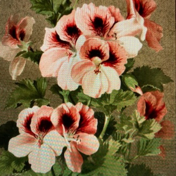 Lolly Land Other - ~Vintage Accessories~